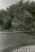 Kwiecień 1944, Petah Tikva, Palestyna.
Żołnierze 2 Korpusu Polskiego.
Fot. NN, zbiory Ośrodka KARTA, Pogotowie Archiwalne [PA_033], udostępnił Piotr Balcer