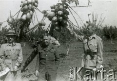 Kwiecień 1944, Petah Tikva, Palestyna.
Żołnierze 2 Korpusu Polskiego zwiedzający Petah Tikva.
Fot. NN, zbiory Ośrodka KARTA, Pogotowie Archiwalne [PA_033], udostępnił Piotr Balcer