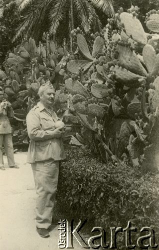 Kwiecień 1944, Palestyna.
Żołnierze 2 Korpusu Polskiego. Na zdjęciu podpułkownik Światkowski.
Fot. NN, zbiory Ośrodka KARTA, Pogotowie Archiwalne [PA_033], udostępnił Piotr Balcer