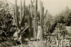 Sierpień 1944, Tyberiada, Palestyna.
Żołnierze 2 Korpusu Polskiego. Na zdjęciu — ochotniczki.   
Fot. NN, zbiory Ośrodka KARTA, Pogotowie Archiwalne [PA_033], przekazał Piotr Balcer