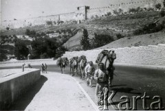 1944, Jerozolima, Palestyna.
2. Korpus Polski . Widok na drogę, w tle Bazylika Konania.

Fot. NN, zbiory Ośrodka KARTA, Pogotowie Archiwalne [PA_033], przekazał Piotr Balcer