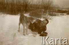 Lata 30., Polska.
W czasie zabawy z psem na śniegu pułkownik Józef Matecki, zmarły po II wojnie światowej w Stanach Zjednoczonych. 
Fot. NN, zbiory Ośrodka KARTA, Pogotowie Archiwalne [PA_033], przekazał Piotr Balcer