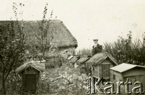 1939-1943, Krępa, pow. Łuków, Generalne Gubernatorstwo.
Pasieka wiejska. Zdjęcie z okresu wysiedlenia rodziny Balcer na tereny lubelskie.
Fot. NN, zbiory Ośrodka KARTA, Pogotowie Archiwalne [PA_033], przekazał Piotr Balcer