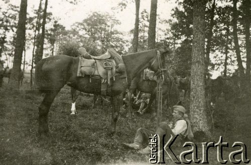 1935-1939, Polska.
7 Pułk Strzelców Konnych Wielkopolskich. Odpoczynek w lesie w trakcie manewrów wojskowych.
Fot. NN, zbiory Ośrodka KARTA, Pogotowie Archiwalne [PA_033], przekazał Piotr Balcer