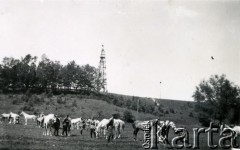 1930-1939, Biedrusko, woj. poznańskie, Polska.
Manewry 7 Pułku Strzelców Konnych Wielkopolskich.
Fot. NN, zbiory Ośrodka KARTA, Pogotowie Archiwalne [PA_033], przekazał Piotr Balcer