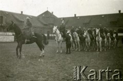 1930-1939, Poznań, Polska.
Manewry wojskowe 7 Pułku Strzelców Konnych. W tle stajnie na ulicy Taborowej, po wojnie zajmowane przez oddziały Milicji Obywatelskiej.
Fot. NN, zbiory Ośrodka KARTA, Pogotowie Archiwalne [PA_033], przekazał Piotr Balcer
