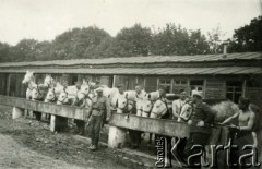 1930-1939, Poznań, Polska.
7 Pułk Strzelców Konnych Wielkopolskich. Stajnie na ulicy Taborowej - paszenie koni.
Fot. NN, zbiory Ośrodka KARTA, Pogotowie Archiwalne [PA_033], przekazał Piotr Balcer