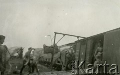 1930-1939, Polska.
7 Pułk Strzelców Konnych Wielkopolskich. Załadunek koni w drodze na manewry wojskowe.
Fot. NN, zbiory Ośrodka KARTA, Pogotowie Archiwalne [PA_033], udostępnił Piotr Balcer
