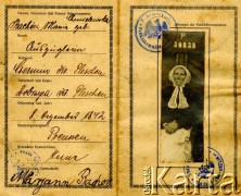 13.12.1916, Pleszew, Wielkopolska.
Wnętrze dowodu osobistego Marianny Bachórz, zamieszkałej w Czerminie w powiecie pleszewskim, wystawionego przez władze pruskie.
Fot. NN, zbiory Ośrodka KARTA, Pogotowie Archiwalne [PA_033], udostępnił Piotr Balcer