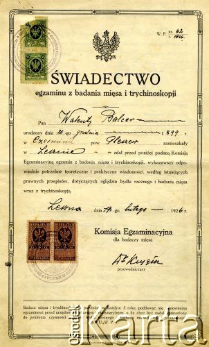 17.02.1926, Leszno, Polska.
Zaświadczenie pomyślnie zakończonego egzaminu na temat: badania mięsa, oględzin bydła rzeźnego i wykrywania pasożytów mięsnych.
Fot. NN, zbiory Ośrodka KARTA, Pogotowie Archiwalne (PA_033), udostępnił Piotr Balcer
