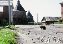 Lipiec 1994, Wyspa Sołowiecka, Rosja.
Klasztor na Sołowkach, w czasach stalinowskich łagier o zaostrzonym rygorze. Widok uliczki na tyłach klasztoru.
Fot. Dominik Księski, zbiory Ośrodka KARTA