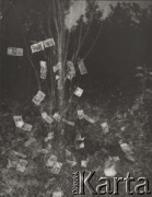 1981, Polska.
Stanisław Mikołaj Słupski, 