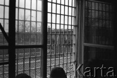 Marzec-lipiec 1982, Warszawa-Białołęka, Polska.
Ośrodek dla internowanych. Widok z okna celi.
Fot. Andrzej Zieliński lub Maciej Kwiatkowski, zbiory Ośrodka KARTA