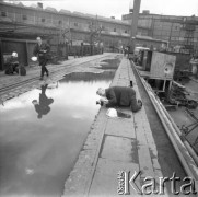 Około 1966, Gdańsk, Polska.
Stocznia Gdańska (od 15.04.1967 Stocznia Gdańska im. Lenina). Fotoreporter ustawia kadr przy jednej ze stoczniowych pochylni.
Fot. Edward Grochowicz, zbiory Ośrodka KARTA.