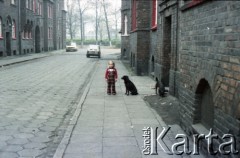 1985, dzielnica Janów-Nikiszowiec, Katowice, Polska. 
Zabytkowe górnicze osiedle Nikiszowiec. Mała dziewczynka w kraciastym kombinezonie w towarzystwie dwóch psów stoi na chodniku przy jednym z familoków. 
Fot. Edward Grochowicz, zbiory Ośrodka KARTA.