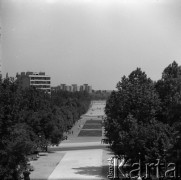 Lata 60., Warszawa, Polska.
Centralny Park Kultury (obecnie Park Marszałka Edwarda Rydza Śmigłego).
Fot. Edward Grochowicz, zbiory Ośrodka KARTA