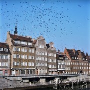 Lata 80., Gdańsk, Polska.
Długie Pobrzeże nad Motławą.
Fot. Edward Grochowicz, zbiory Ośrodka KARTA