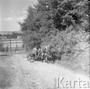 Lata 60., Polska.
Mężczyzna jadący wozem zaprzężonym w krowę.
Fot. Edward Grochowicz, zbiory Ośrodka KARTA