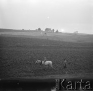 Lata 60., Polska.
Prace w polu.
Fot. Edward Grochowicz, zbiory Ośrodka KARTA
