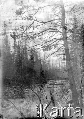 1904-1905, Jakuck, Cesarstwo Rosyjskie.
Krajobraz Syberii, rzeka.
Fot. NN, kolekcja Zygmunta Lewańskiego, udostępnił Julian Lewański

