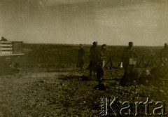 1942, Irak.
Żołnierze 5 Wileńskiego Pułku Artylerii Lekkiej.
Fot. NN, zbiory Ośrodka KARTA, Pogotowie Archiwalne [PAF_042], przekazał Zbigniew Jackowski