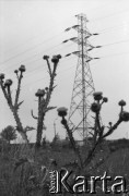 1991, Warszawa, Polska.
Złomowisko na terenie Huty Warszawa.
Fot. Artur Polit, zbiory Fundacji Ośrodka KARTA