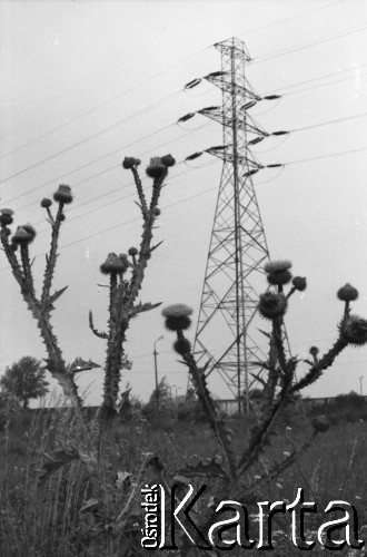 1991, Warszawa, Polska.
Złomowisko na terenie Huty Warszawa.
Fot. Artur Polit, zbiory Fundacji Ośrodka KARTA