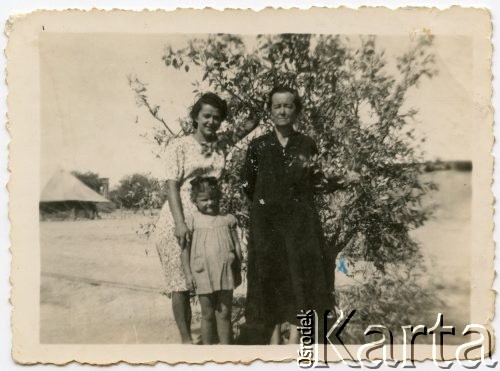 20.06.1943, Ahwaz, Iran.
Polki ewakuowane ze Związku Radzieckiego: Teresa Rak (później Babicz) z matką Zofią z domu Żółtańską i babcią Teresą. Na odwrocie odbitki dedykacja: 