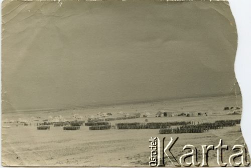 1941, okolice Aleksandrii, Egipt.
Żołnierze Samodzielnej Brygady Strzelców Karpackich, w oddali namioty obozu wojskowego. [Odbitka składa się z trzech części].
Fot. NN, udostępnili Zofia i Julian Michalski, zbiory Ośrodka KARTA