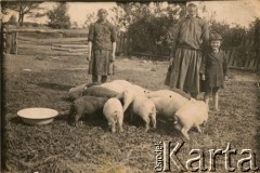 Ok. 1935, okolice Drohiczyna, Polska.
Karmienie świń, 1. z prawej Zofia Ślimak (potem Michalski).
Fot. NN, udostępnili Zofia i Julian Michalski, zbiory Ośrodka KARTA
