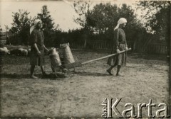 Ok. 1935, okolice Drohiczyna, Polska.
Kobiety wiozą bańki na wózku.
Fot. NN, udostępnili Zofia i Julian Michalski, zbiory Ośrodka KARTA