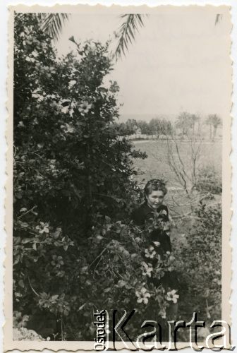 1947, Bejrut, Liban.
Irena Juchniewicz później Godyń na terenie kampusu Uniwersytetu Amerykańskiego.
Fot. NN, udostępniła Irena Godyń, zbiory Ośrodka KARTA