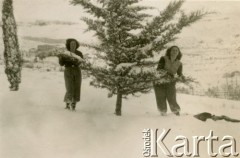 Ok. 1948, Liban.
Kuracjuszki sanatorium, w którym przebywała Irena Juchniewicz (potem Godyń).
Fot. NN, udostępniła Irena Godyń, zbiory Ośrodka KARTA