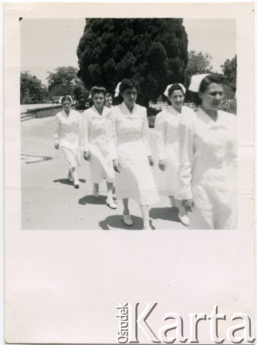 Druga połowa lat 40., Bejrut, Liban.                                 
Studentki pielęgniarstwa na Uniwersytecie Amerykańskim. 2. z lewej Jadwiga Surowiak. Fotografia podarowana Irenie Juchniewicz w 1949 roku.
Fot. NN, udostępniła Irena Godyń, zbiory Ośrodka KARTA