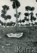 1948-1950, Bejrut, Liban.
Znak pamiątkowy z 1940 roku - Orzeł Biały na mapie II Rzeczpospolitej.
Fot. NN, udostępnili Ewa i Stefan Petrusewiczowie, zbiory Ośrodka KARTA