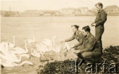 20.07.1941, Montrose, Szkocja, Wielka Brytania.
Polscy żołnierze z oddziału artylerii przeciwlotniczej, łabędzia karmi Józef Kaleta.
Fot. NN, udostępnili Stanisława i Józef Kaleta, zbiory Ośrodka KARTA