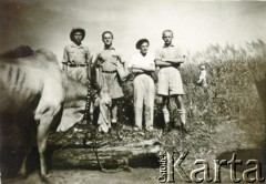 Ok. 1945-1947, okolice Valivade-Kolhapur, Indie.
Mieszkańcy obozu dla polskich uchodźców, z lewej Ryszard Grzybowski.
Fot. NN, udostępnili Czesława i Ryszard Grzybowscy, zbiory Ośrodka KARTA