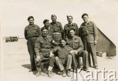 1944, Egipt.
Grupa polskich żołnierzy, na dole w środku Klemens Grzybowski, wachmistrz 317 kompanii transportowej.
Fot. NN, udostępnili Czesława i Ryszard Grzybowscy, zbiory Ośrodka KARTA