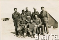 1944, Egipt.
Grupa polskich żołnierzy, na dole w środku Klemens Grzybowski, wachmistrz 317 kompanii transportowej.
Fot. NN, udostępnili Czesława i Ryszard Grzybowscy, zbiory Ośrodka KARTA