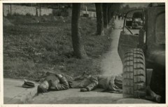 29.04.1945, Murnau am Staffelsee, Bawaria, III Rzesza Niemiecka.
Wyzwolenie niemieckiego obozu jenieckiego (Oflag VII A Murnau) przez Amerykanów. Na zdjęciu obok amerykańskiej ciężarówki leżą zabici SS-mani.
Fot. NN, kolekcja Marcina Rudzińskiego, zbiory Ośrodka KARTA