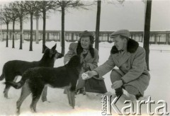 1947-1951, Sopot, woj. gdańskie, Rzeczpospolita Polska. 
Krystyna Gozdawa-Gołębiowska (żona Jana ) z kolegą na spacerze z psami. 
Fot. NN, kolekcja Jana Gozdawy-Gołębiowskiego, zbiory Ośrodka KARTA