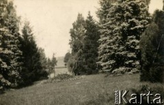 Początek lat 30., Rzeczpospolita Polska.
Park.
Fot. NN, kolekcja Larysy Zajączkowskiej-Mitznerowej, zbiory Ośrodka KARTA