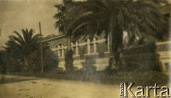 Lata 20., Włochy.
Budynek mieszkalny. Na pierwszym planie widoczne rozłożyste palmy.
Fot. NN, kolekcja Larysy Zajączkowskiej-Mitznerowej, zbiory Ośrodka KARTA