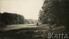 Ok. 1930, Olszanka, woj. warszawskie, Rzeczpospolita Polska.
Łąka, na której malarz i konstruktor lotniczy Czesław Tański wypróbowywał modele śmigłowców własnej konstrukcji.
Fot. NN, kolekcja Larysy Zajączkowskiej-Mitznerowej, zbiory Ośrodka KARTA