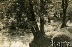 Lato 1939, Moszczenica, woj. łódzkie, Rzeczpospolita Polska.
Rzeka płynąca przez wieś.
Fot. NN, kolekcja Larysy Zajączkowskiej-Mitznerowej, zbiory Ośrodka KARTA