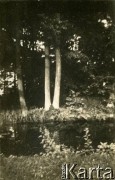 Lato 1939, Moszczenica, woj. łódzkie, Rzeczpospolita Polska.
Rzeka płynąca przez wieś.
Fot. NN, kolekcja Larysy Zajączkowskiej-Mitznerowej, zbiory Ośrodka KARTA