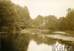 Lato 1939, Moszczenica, woj. łódzkie, Rzeczpospolita Polska.
Staw przylegający prawdopodobnie do parku przy miejscowym dworze.
Fot. NN, kolekcja Larysy Zajączkowskiej-Mitznerowej, zbiory Ośrodka KARTA