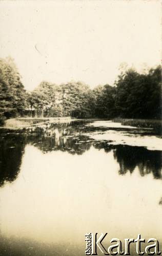 Lato 1939, Moszczenica, woj. łódzkie, Rzeczpospolita Polska.
Staw przylegający prawdopodobnie do parku przy miejscowym dworze.
Fot. NN, kolekcja Larysy Zajączkowskiej-Mitznerowej, zbiory Ośrodka KARTA