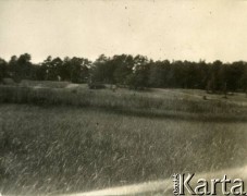 Lata 30., Rzeczpospolita Polska.
Krajobraz polny.
Fot. NN, kolekcja Larysy Zajączkowskiej-Mitznerowej, zbiory Ośrodka KARTA