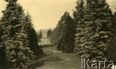 Lata 30., Rzeczpospolita Polska.
Ogród z widokiem na pola.
Fot. NN, kolekcja Larysy Zajączkowskiej-Mitznerowej, zbiory Ośrodka KARTA
